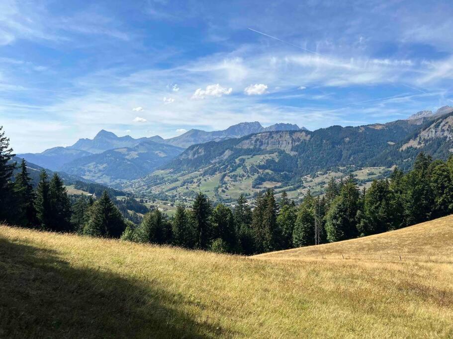 Praz Sur Arly - Proche Des Pistes Et De Megeve Apartment Luaran gambar