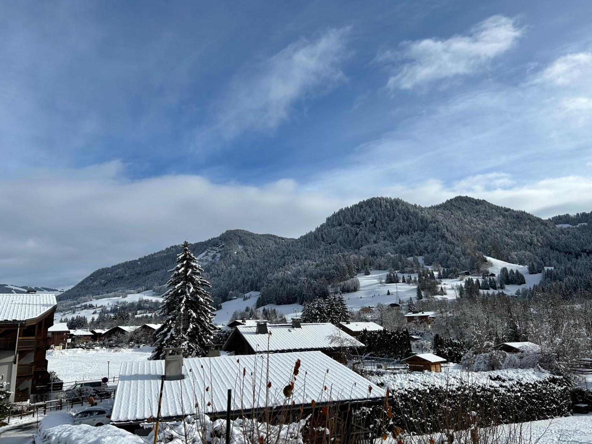 Praz Sur Arly - Proche Des Pistes Et De Megeve Apartment Luaran gambar